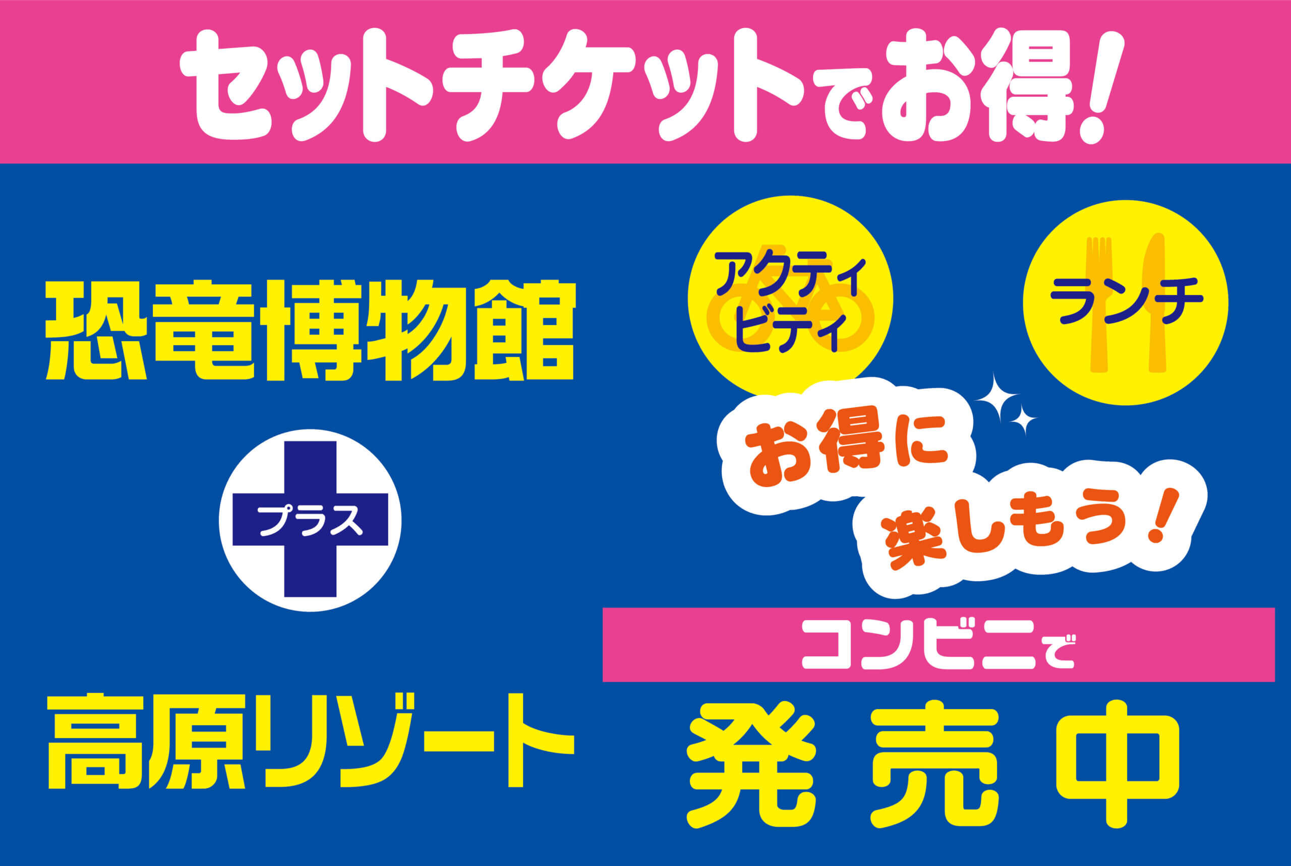 スキージャム勝山 チケット3枚 - ウィンタースポーツ