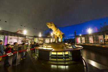 恐竜博物館周辺のおすすめ観光スポット ランチ 宿泊 温泉情報