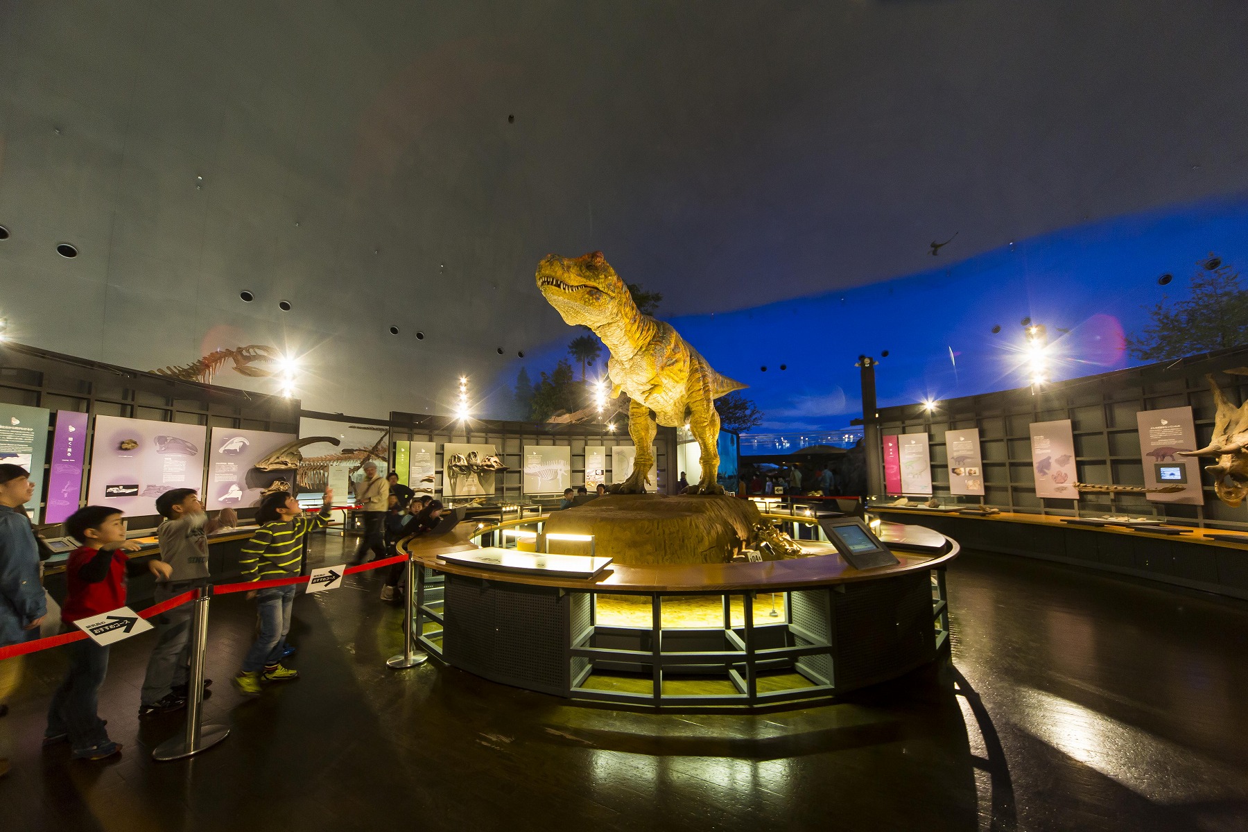 恐竜博物館周辺のおすすめ観光スポット ランチ 宿泊 温泉情報 スキージャム勝山 よりみちガイド